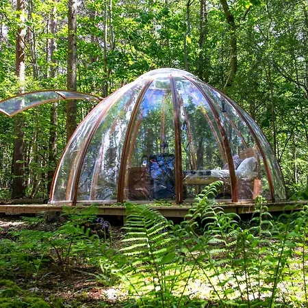 אתר קמפינג Camp Katur Glamping Carthorpe
