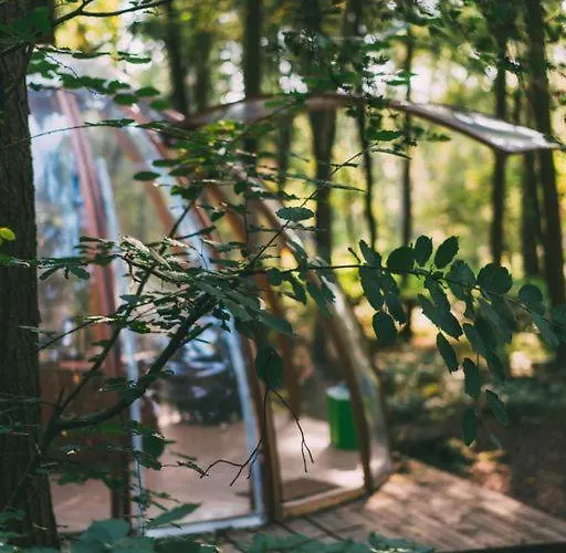 Camp Katur Glamping 4* Carthorpe