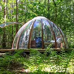 مكان تخييم Camp Katur Glamping Carthorpe