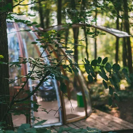 Camp Katur Glamping 4* Carthorpe